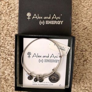 Alex and Ani Bracelet: Taurus Astrological Sign charm bracelet (w/ original box)